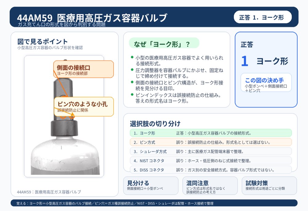 44AM59の解説画像